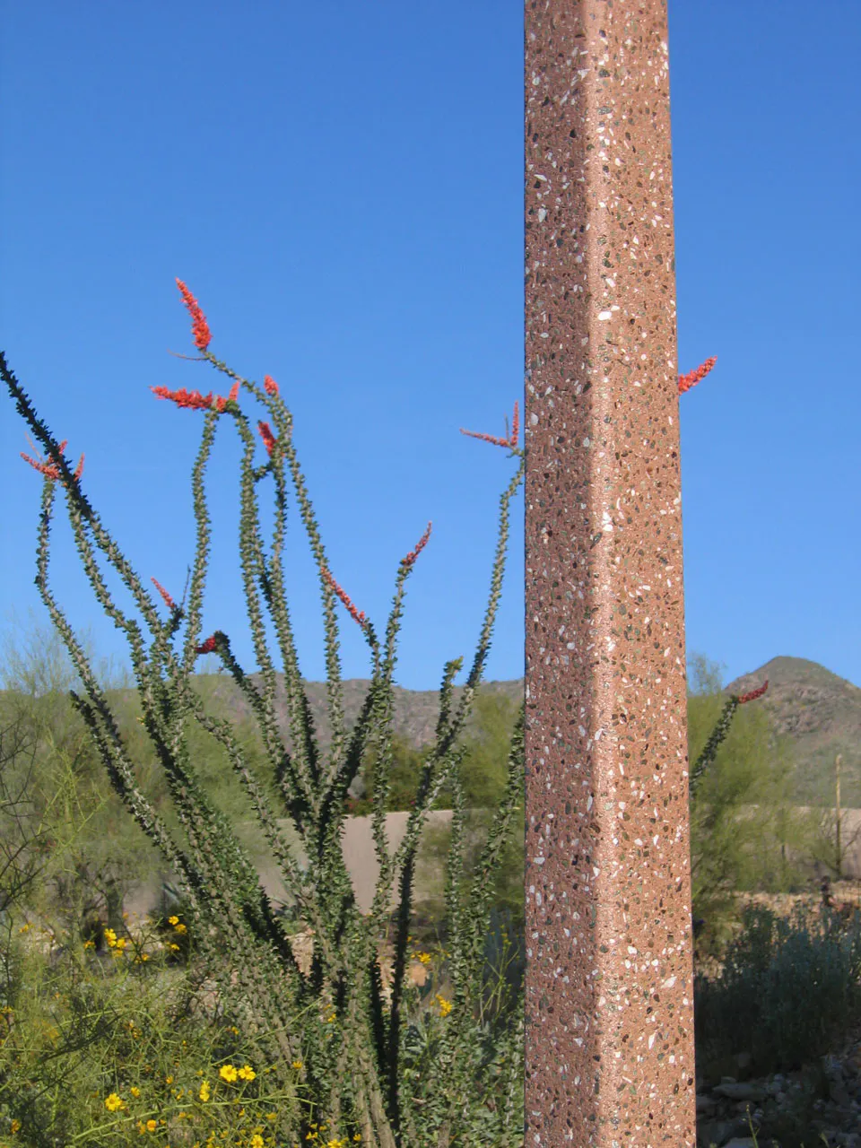 Closeup of texture on Square pole in Riverpark